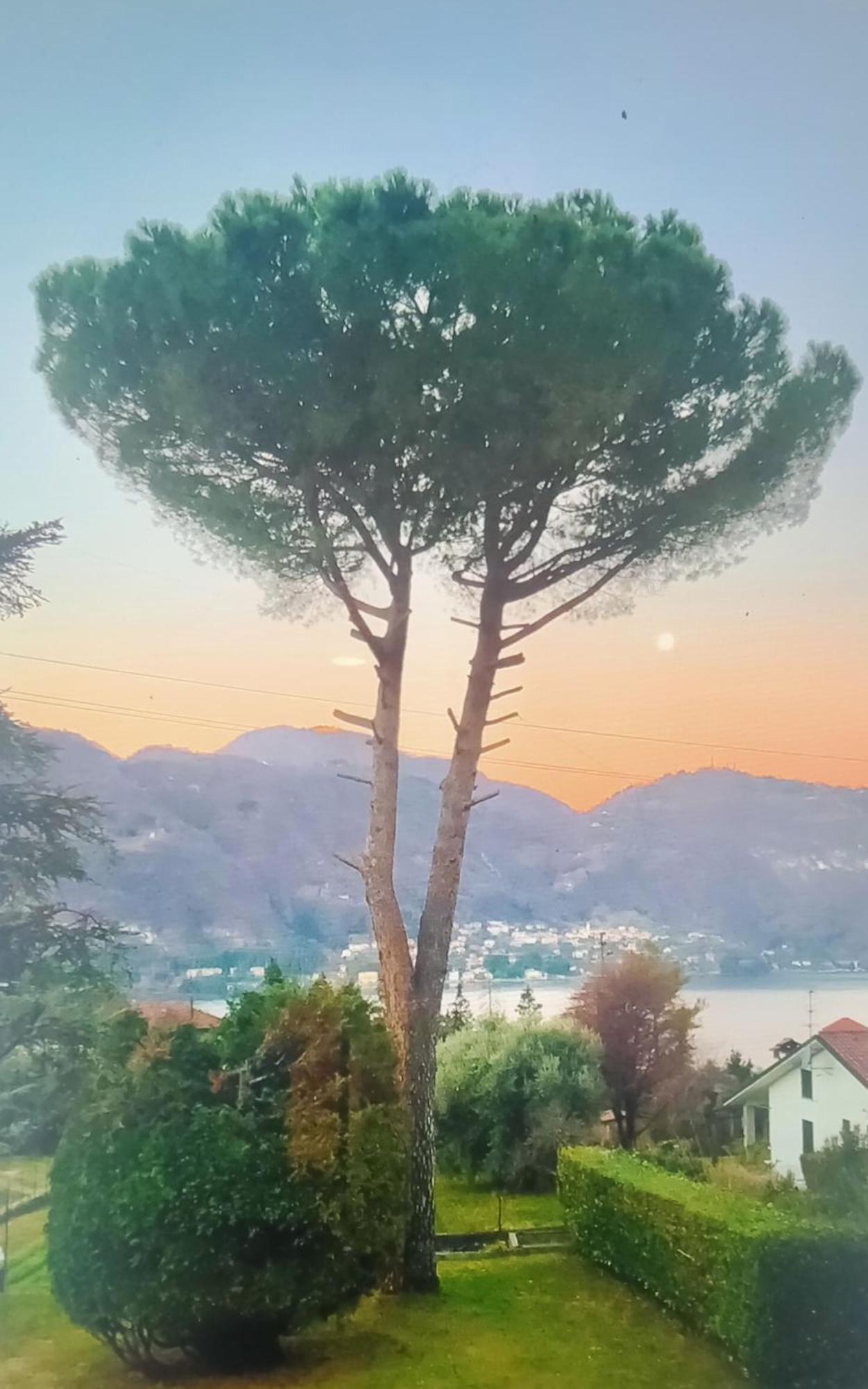 Villa Rosi Lierna Exterior photo